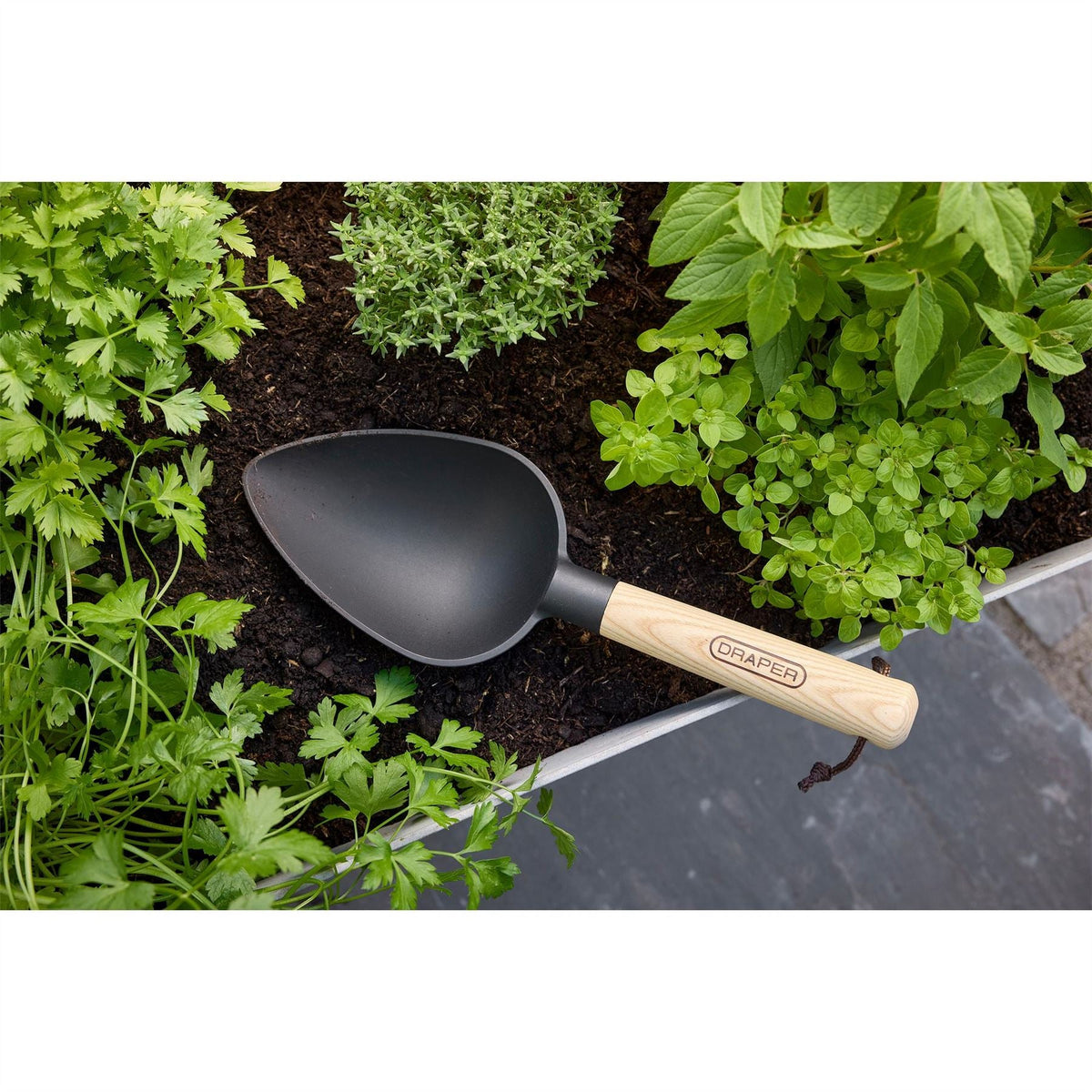Draper Hand Trowel 30947 White Rose Tools
