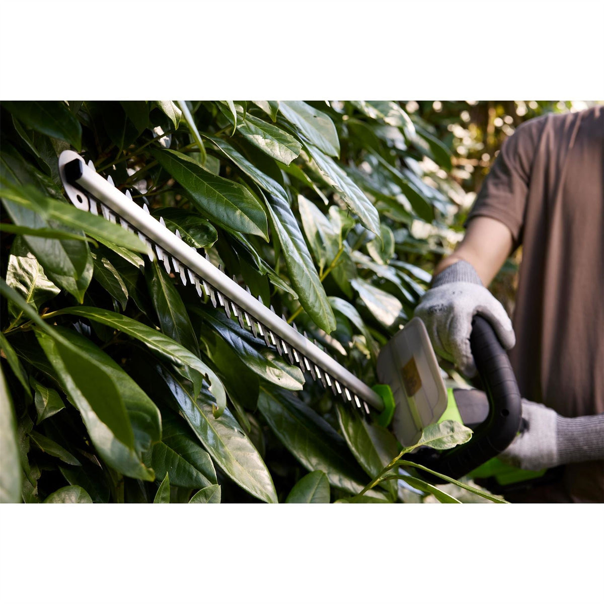 Draper 18V Hedge Trimmer 1 x 2.0Ah Battery 1 x Charger 31862 White Rose Tools