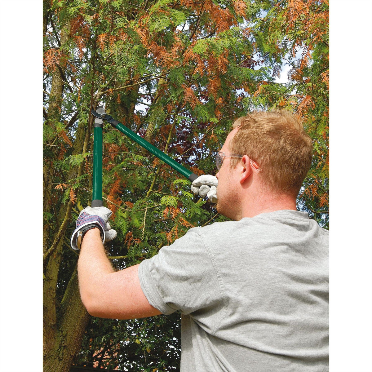 Draper Lopper Shears and Secateur Set (3 Piece) 28210 White Rose Tools