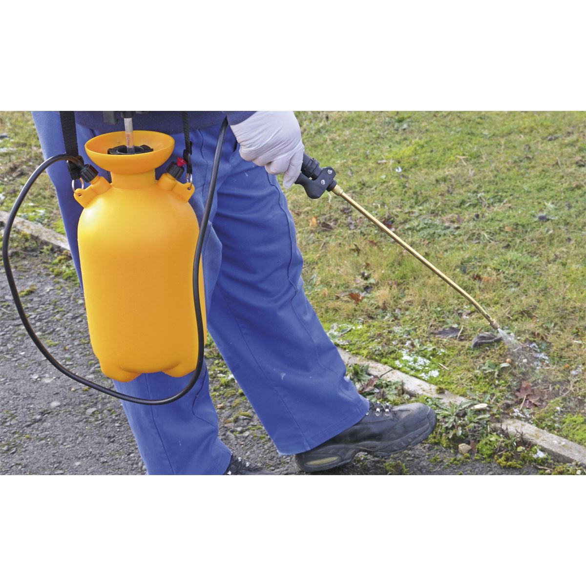 Sealey Pressure Sprayer 5L Gardening Pesticide Herbicide Fluid Bottle Lance