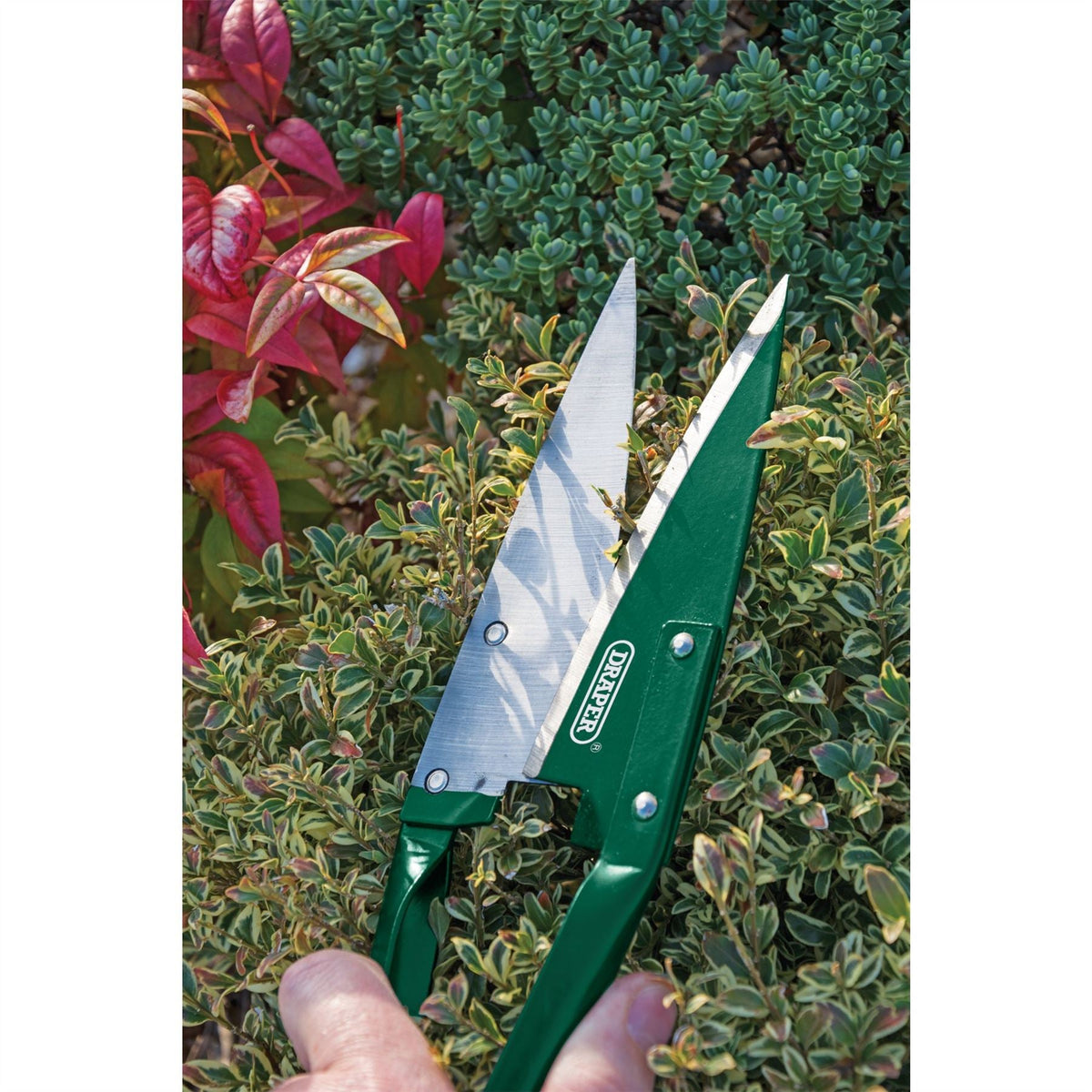 Draper Topiary Shears 345mm 84050 White Rose Tools