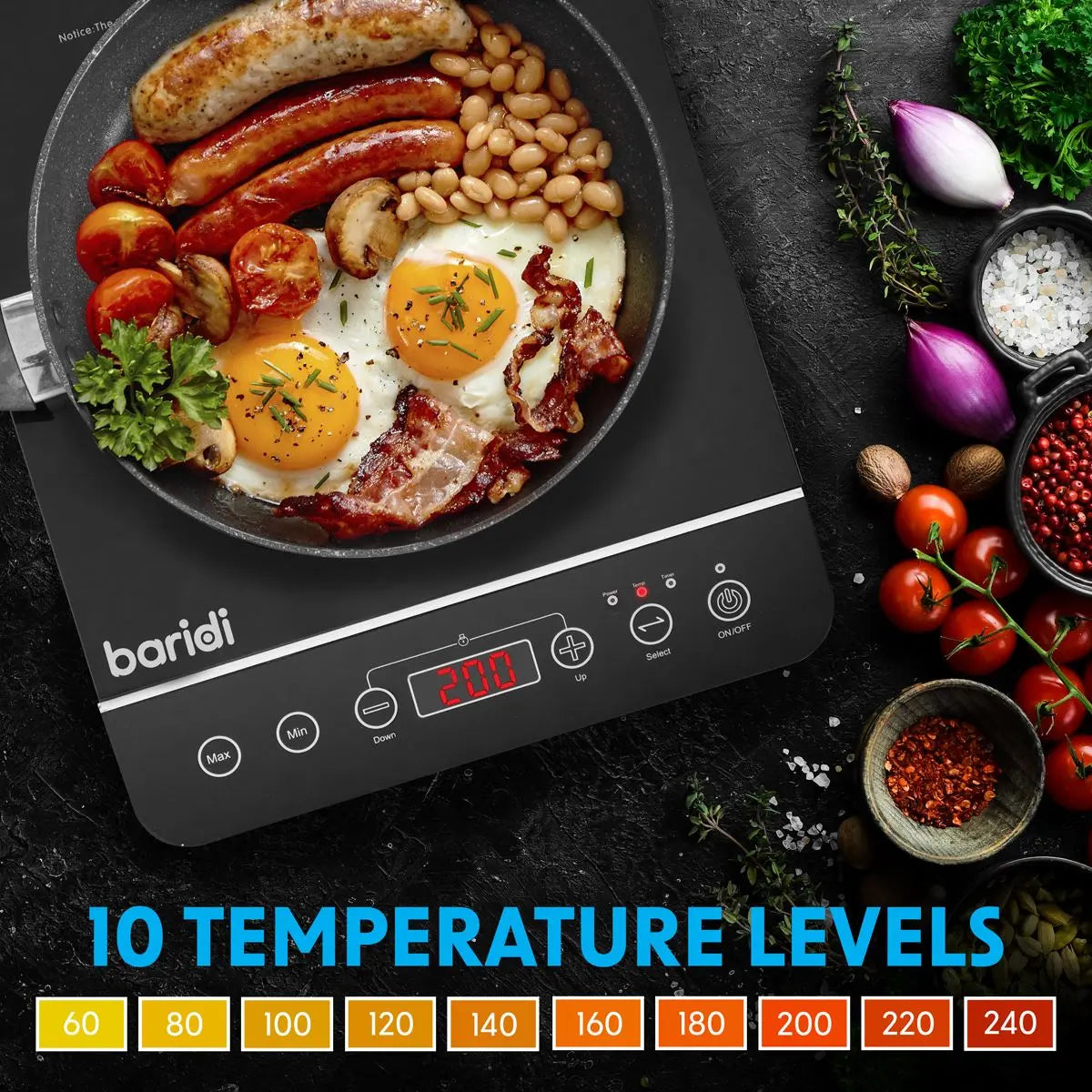 Baridi Induction Hob: Single Zone with 13A Plug, 10 Power Settings 200W-2000W, Touch Controls, 3-Hour Timer Function, Child Lock, Black White Rose Tools