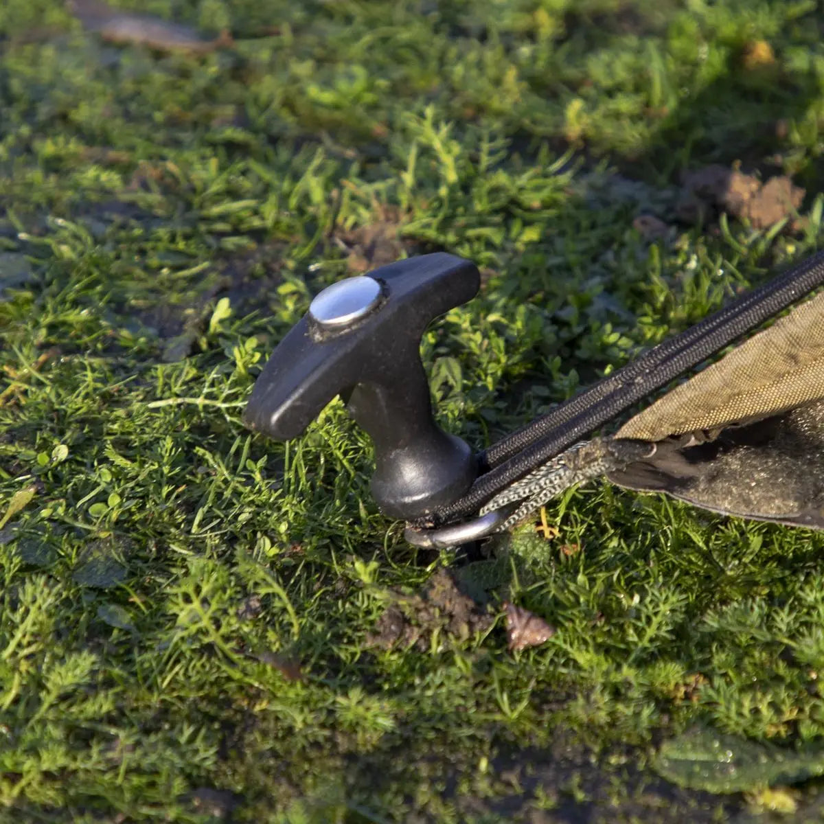 Dellonda Fishing Bivvy Carp Tent Lightweight 2-Man Waterproof & UV Protection Quick Assembly Pre-Threaded Poles with Ground Sheet & Heavy Duty Ground Pegs  White Rose Tools