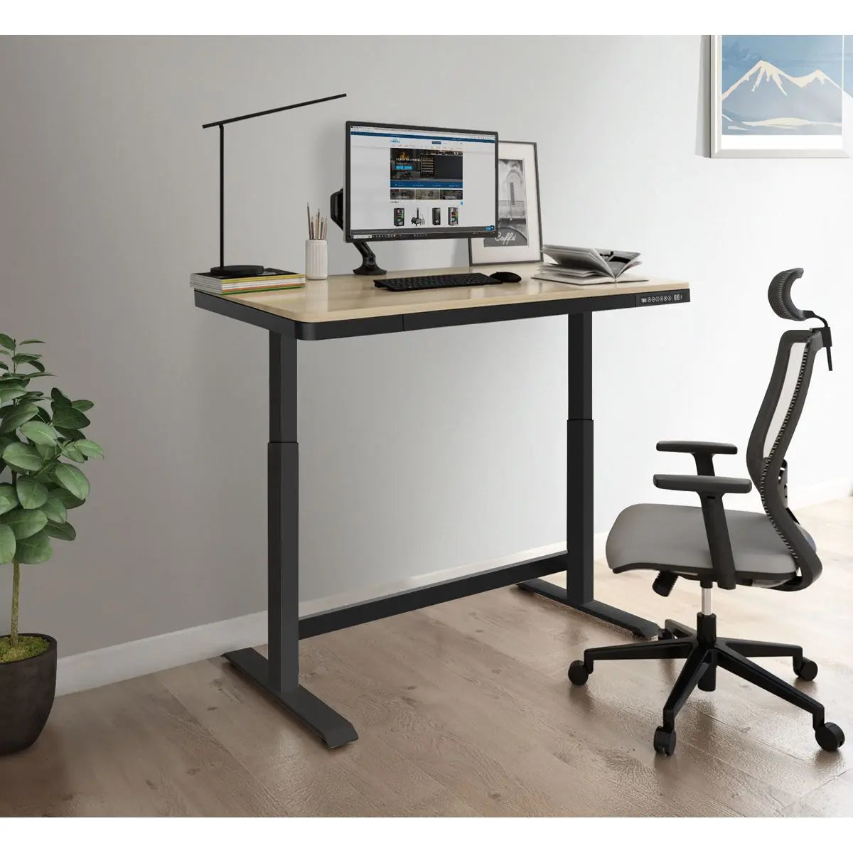 Dellonda Oak Electric Adjustable Standing Desk with USB & Drawer, 1200 x 600mm White Rose Tools