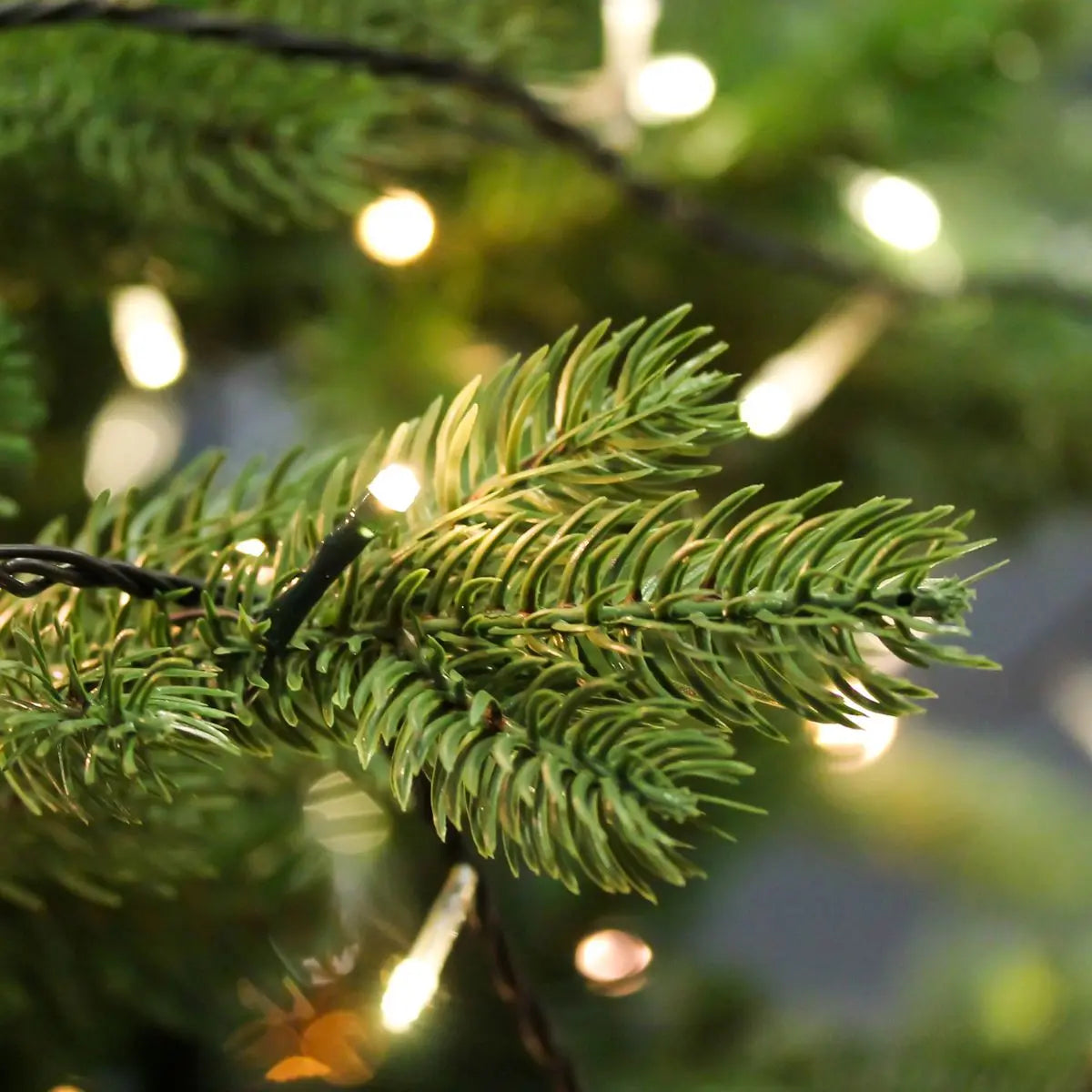 Dellonda Pre-Lit 6ft Hinged Christmas Tree with Warm White LED Lights & PE/PVC Tips White Rose Tools