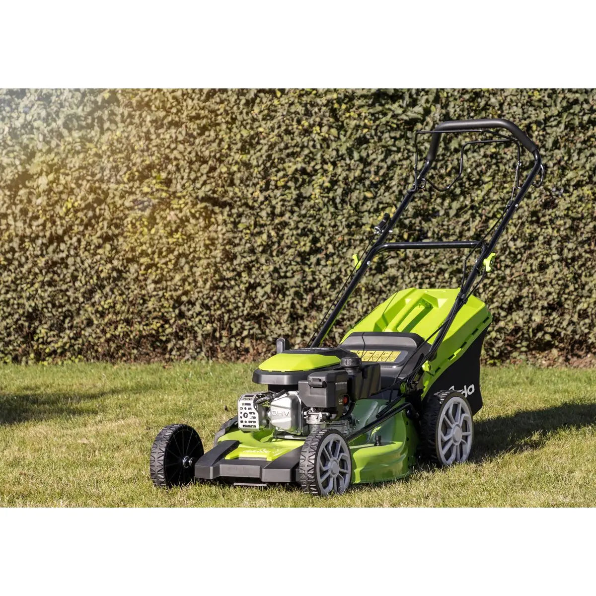 Dellonda Self-Propelled Petrol Lawnmower Grass Cutter with Height Adjustment & Grass Bag 170cc 20"/51cm 4-Stroke Engine  White Rose Tools