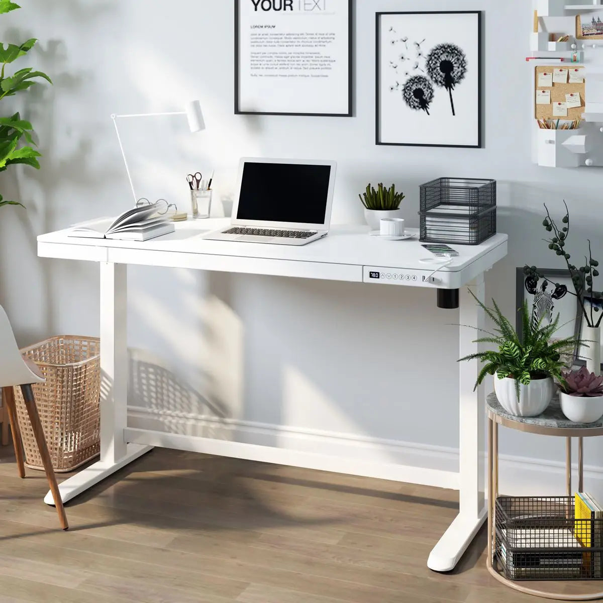 Dellonda White Electric Adjustable Standing Desk with USB & Drawer, 1200 x 600mm White Rose Tools