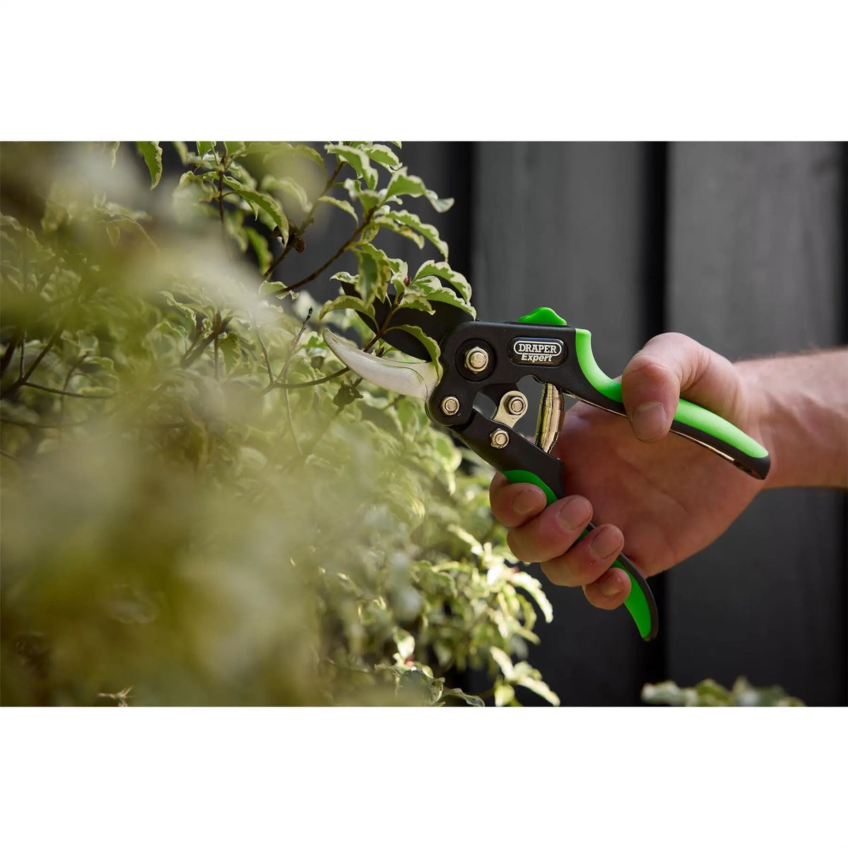Draper Expert Anvil and Bypass Secateurs Set 200mm (2 Piece) 08986 White Rose Tools