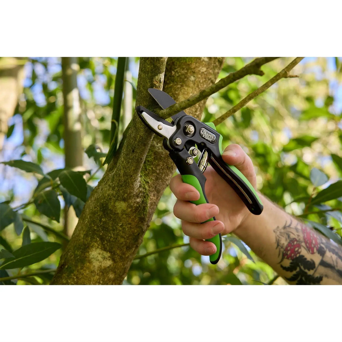 Draper Expert Anvil and Bypass Secateurs Set 200mm (2 Piece) 08986 White Rose Tools