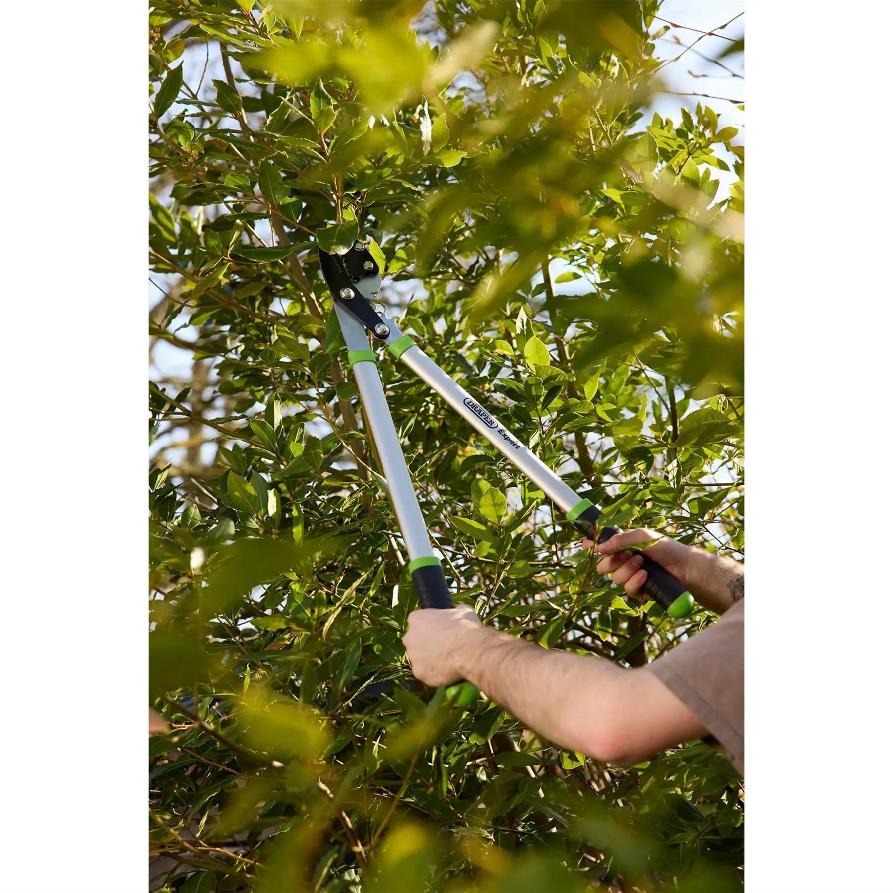 Draper Expert Gear Action Soft Grip Anvil Lopper with Aluminium Handles 685mm 03312 White Rose Tools