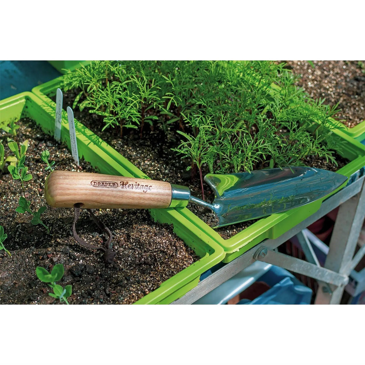 Draper Heritage Stainless Steel Transplanting Trowel with Ash Handle 99022 White Rose Tools