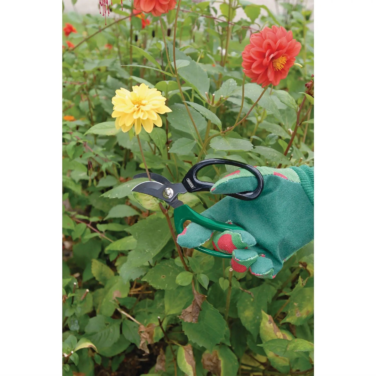 Draper Soft Grip Garden Scissor Set (2 Piece) 18299 White Rose Tools