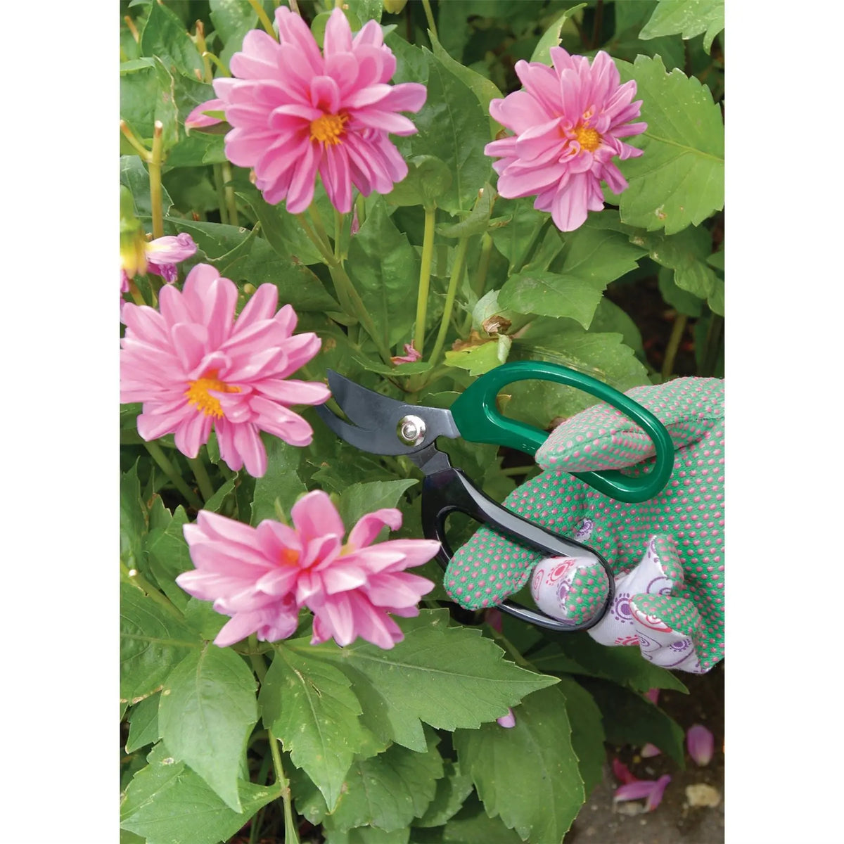Draper Soft Grip Garden Scissor Set (2 Piece) 18299 White Rose Tools