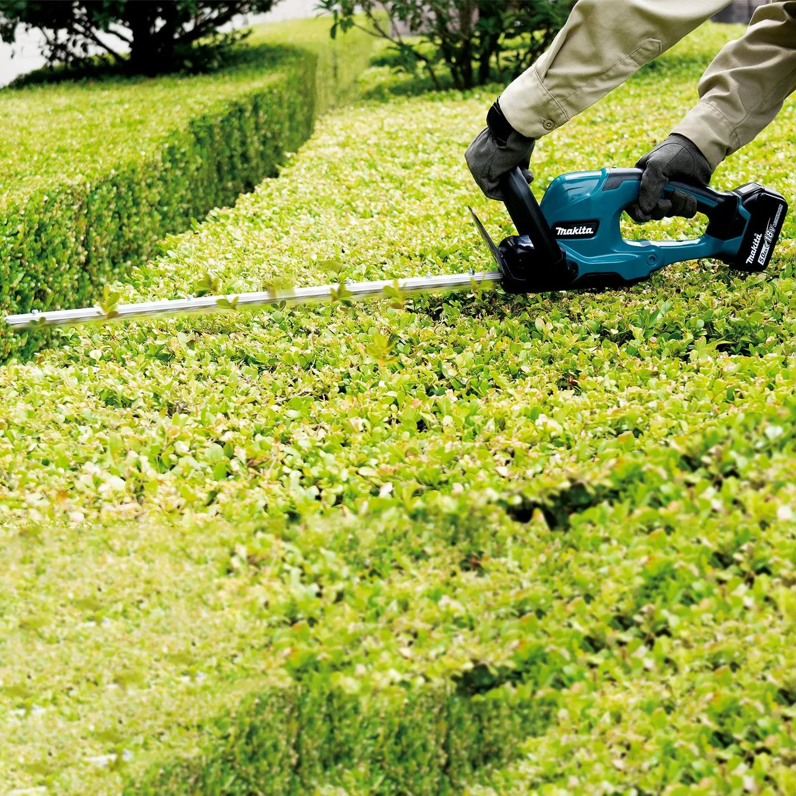 Makita Hedge Trimmer Kit 60cm 18V LXT Li-ion Brushless Cordless 5Ah Battery and Charger Garden Bush Cutter Cutting DUH607RT  White Rose Tools