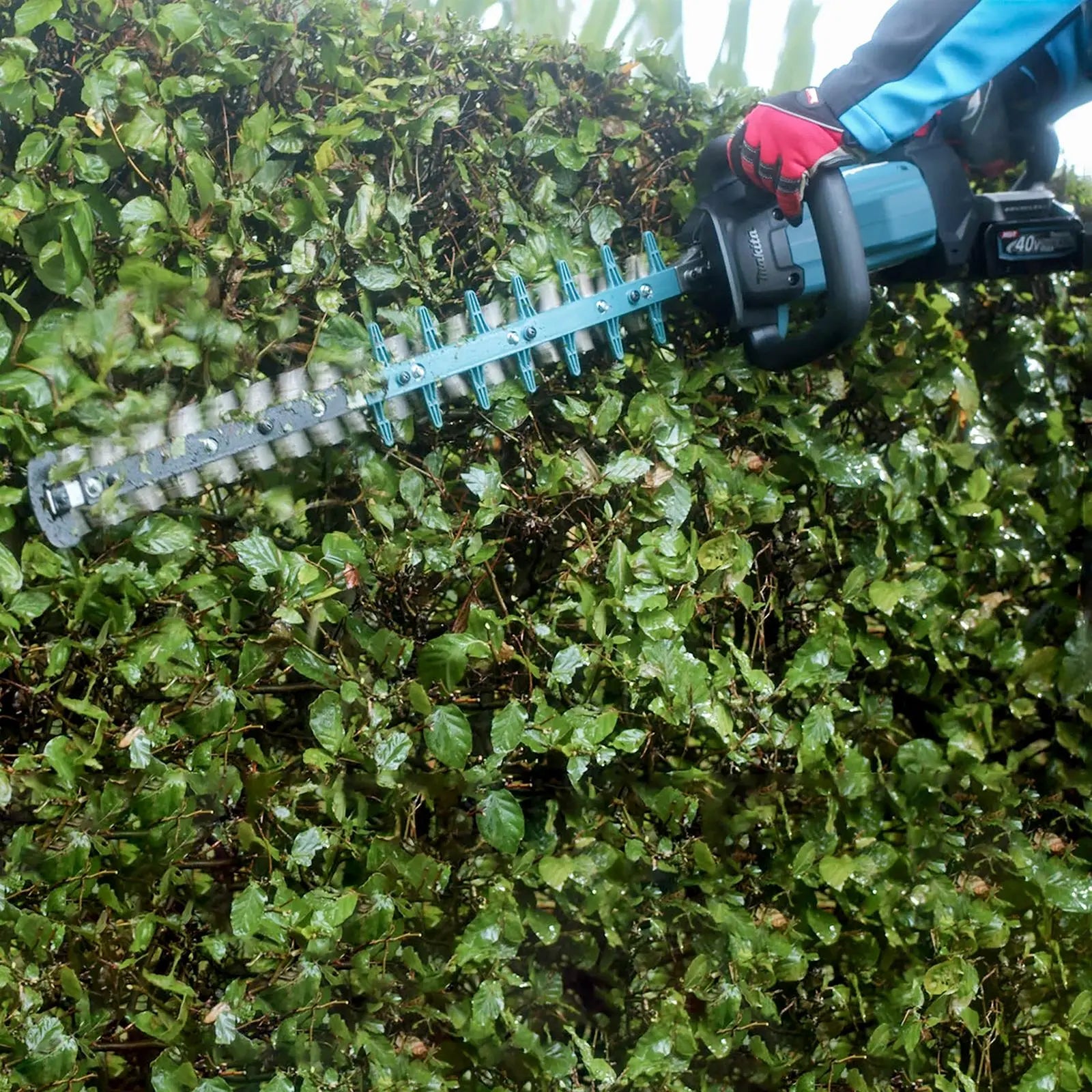 Makita Hedge Trimmer Kit 60cm 40V XGT Li-ion Brushless Cordless 2 x 2.5Ah Battery and Rapid Charger Garden Bush Cutter Cutting UH004GD201  White Rose Tools