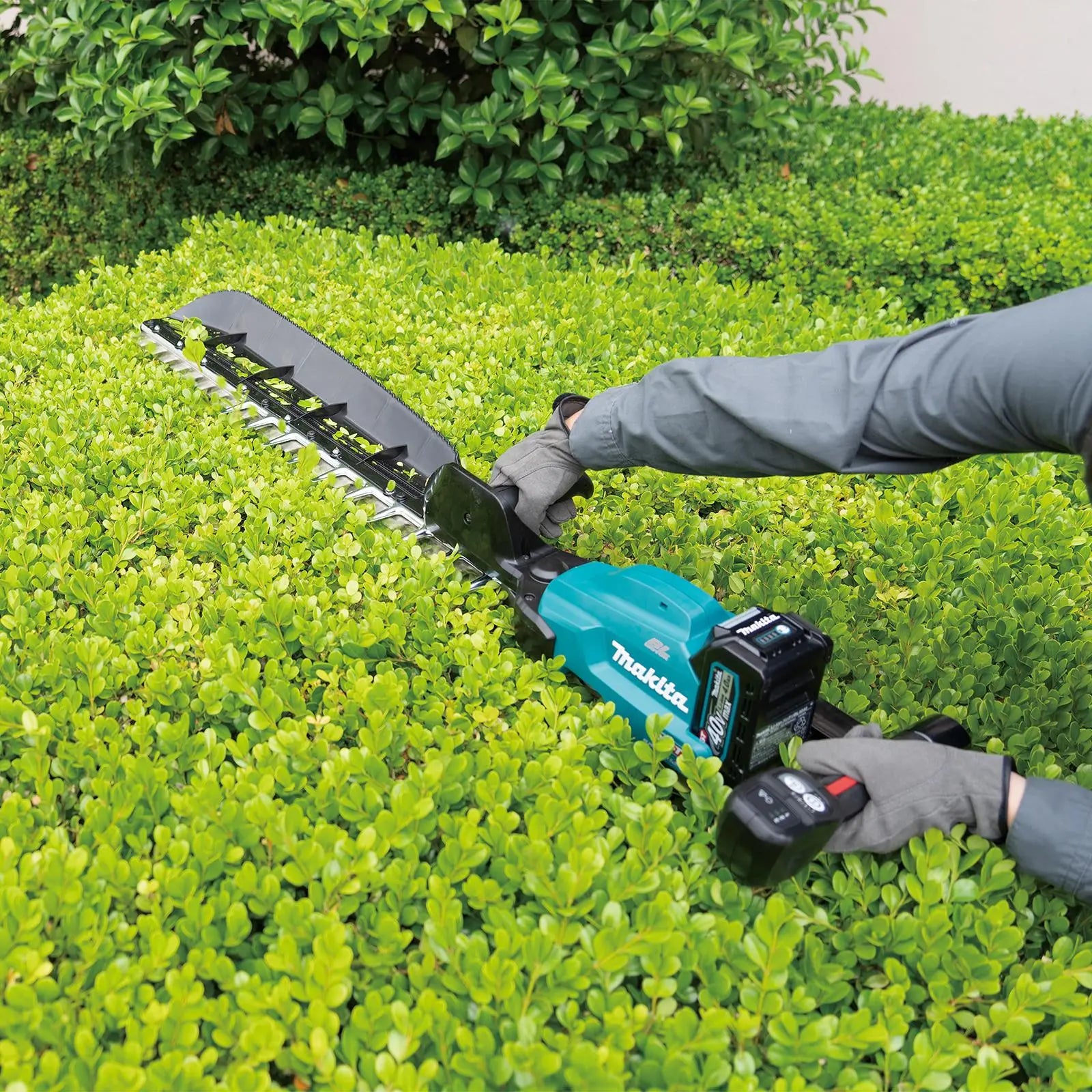 Makita Hedge Trimmer Kit 75cm 40V XGT Li-ion Brushless Cordless 2 x 2.5Ah Battery and Rapid Charger Garden Bush Cutter Cutting UH014GD202  White Rose Tools