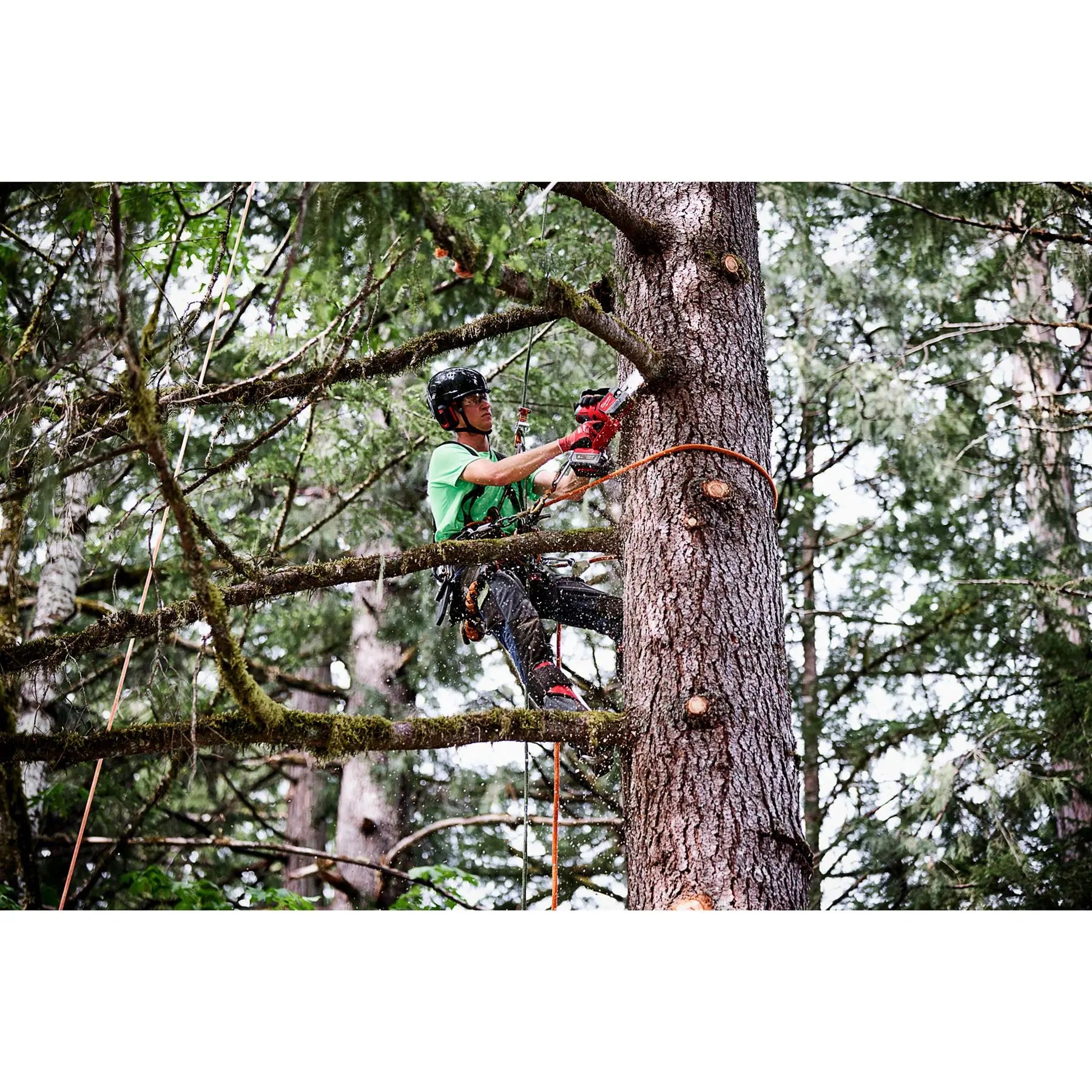Milwaukee M18 18V FUEL HATCHET Pruning Saw 20cm Brushless Bare Unit M18FHS20-0 White Rose Tools