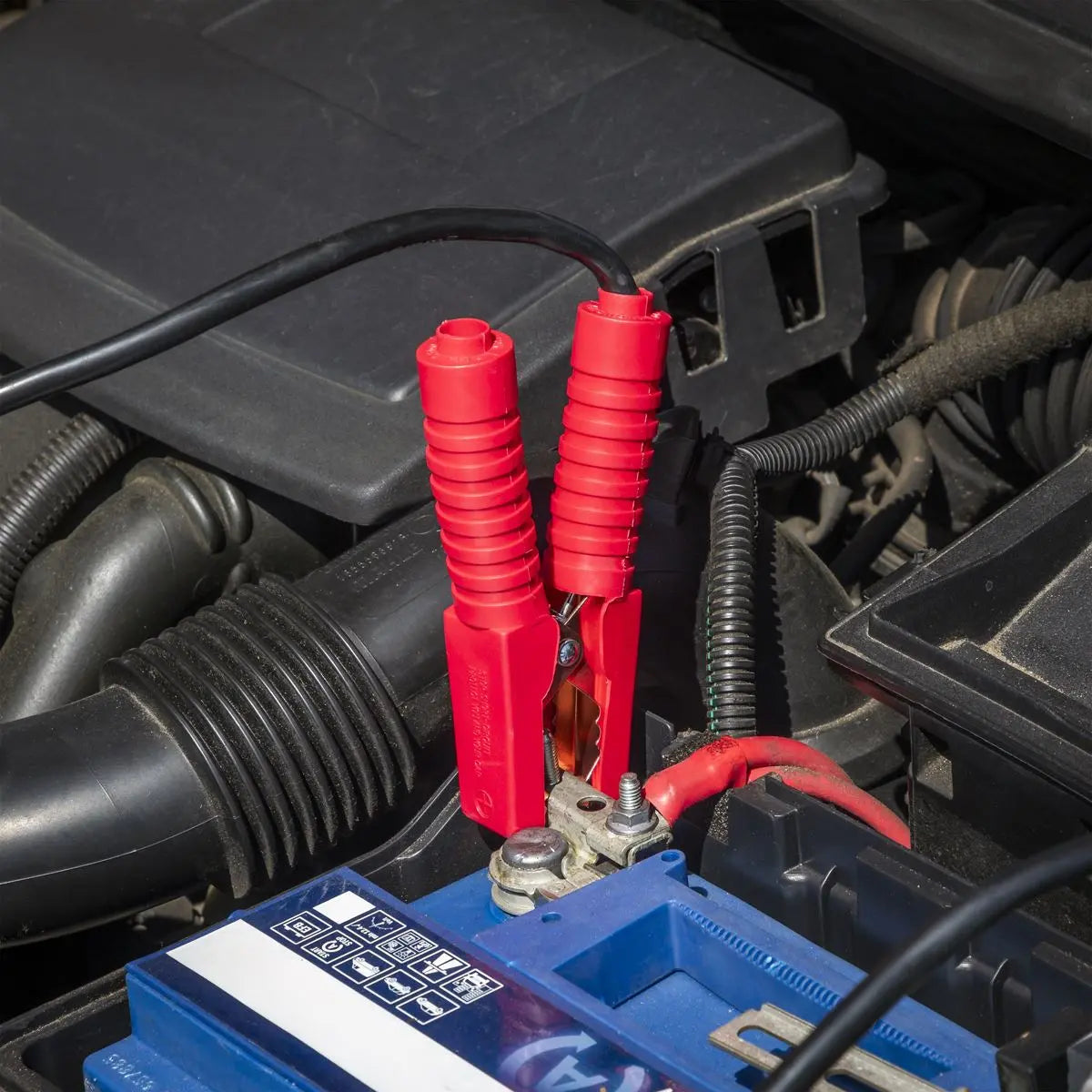 Sealey 12/24V Automatic Battery Charger 60A & 200A Starter White Rose Tools