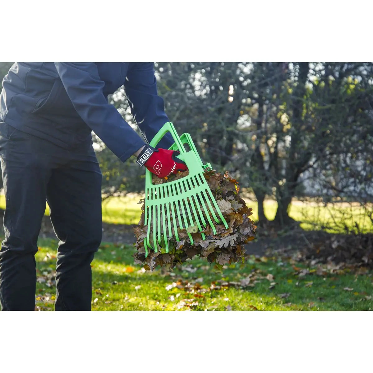 Sealey 2-in-1 Rake & Leaf Grabber White Rose Tools