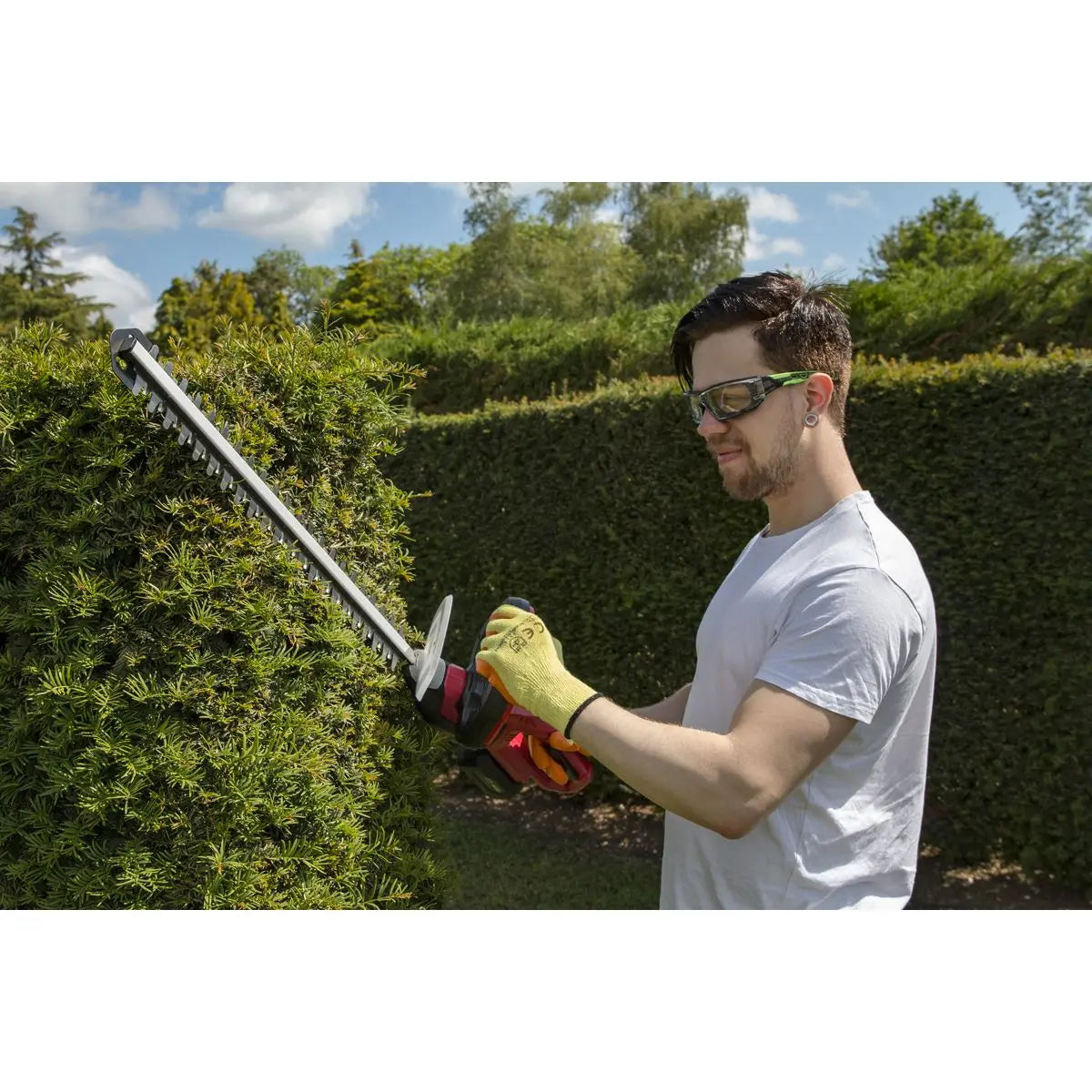 Sealey 20V Cordless 520mm Hedge Trimmer Kit 2Ah Battery and Charger