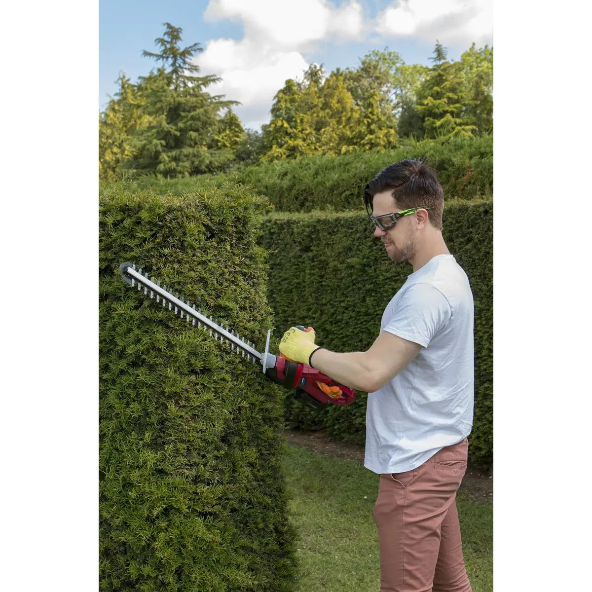 Sealey 20V Cordless 520mm Hedge Trimmer Kit 4Ah Battery and Charger