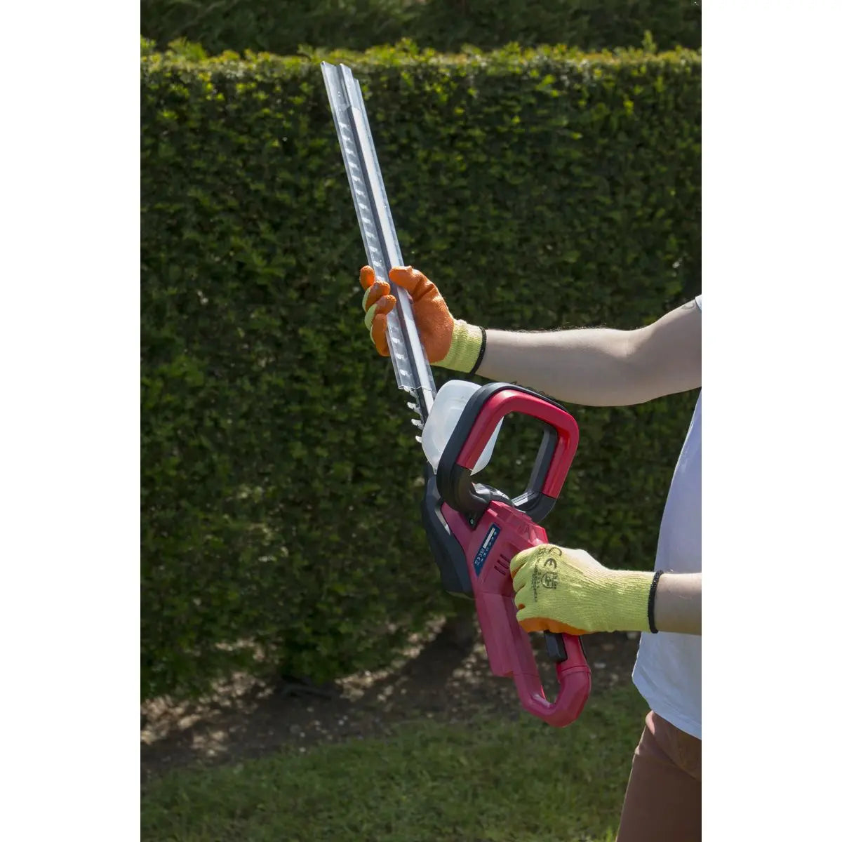 Sealey 20V Cordless 520mm Hedge Trimmer Kit 4Ah Battery and Charger