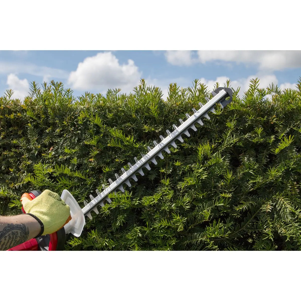 Sealey 20V Cordless 520mm Hedge Trimmer Kit 4Ah Battery and Charger