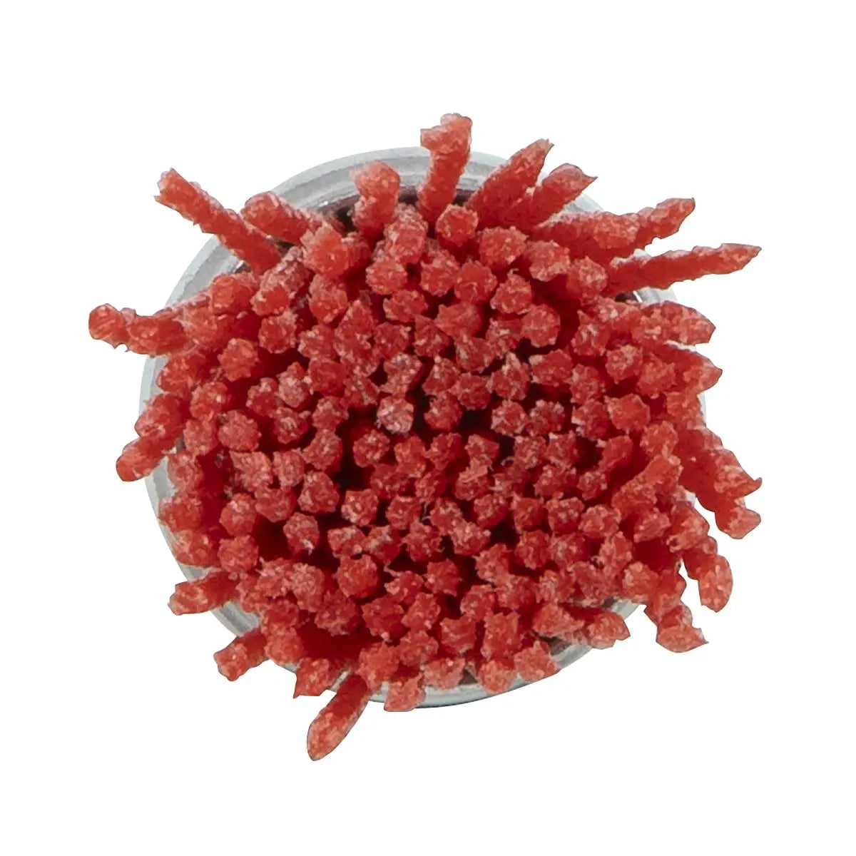 Sealey 25mm Nylon Filament End Brush with 6mm Shaft  White Rose Tools