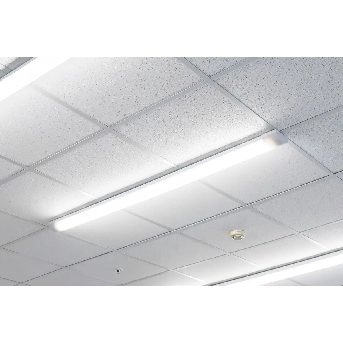 Sealey 5ft Batten Light 50W SMD LED 230V White Rose Tools