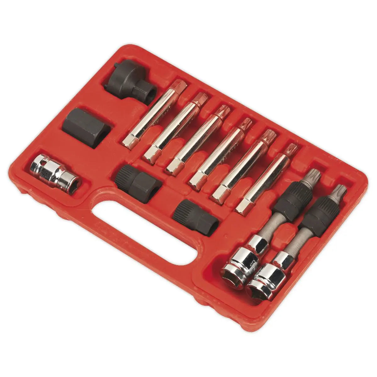 Sealey Alternator Freewheel Removal Set 13pc