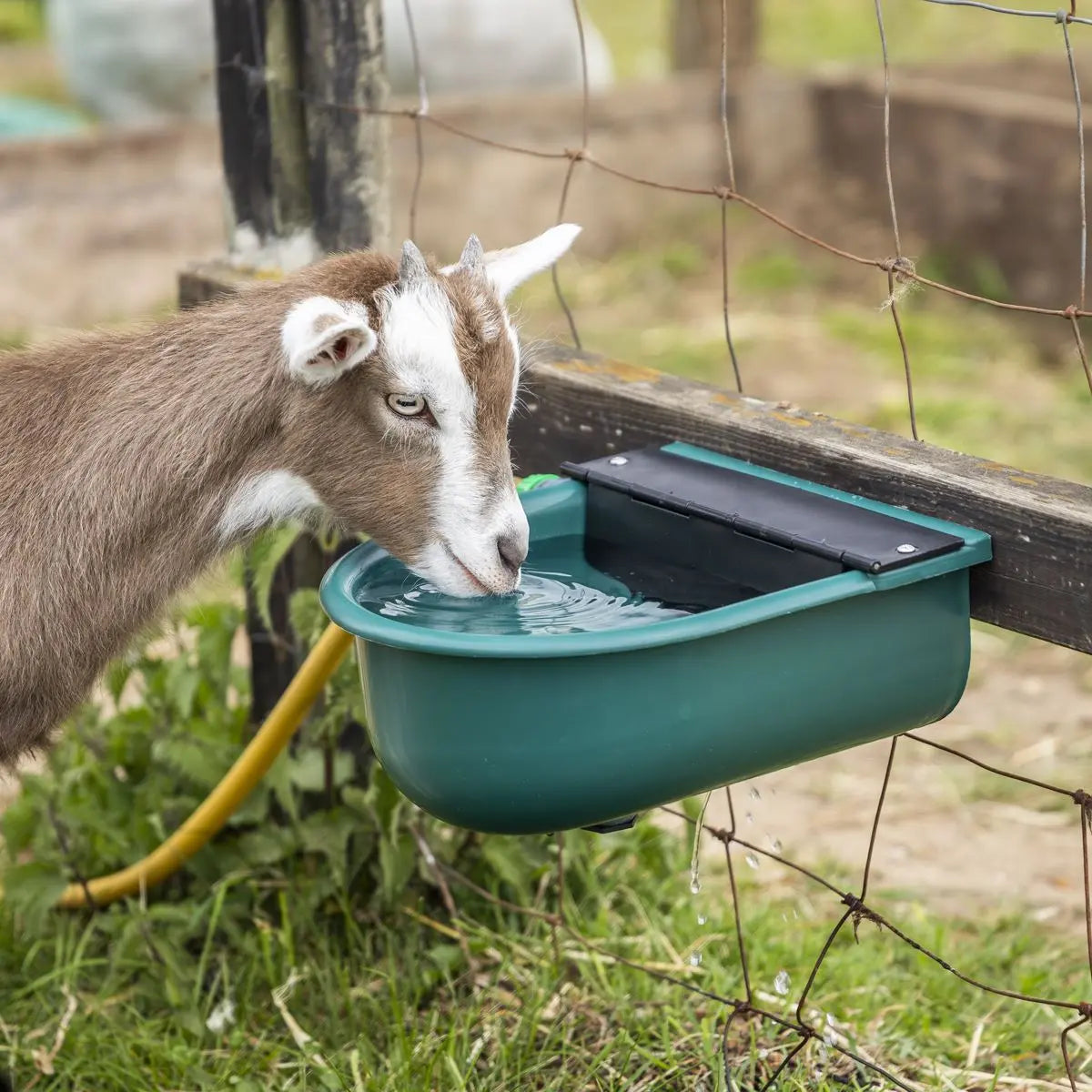 Sealey Automatic Cattle Drinking Bowl 4L White Rose Tools