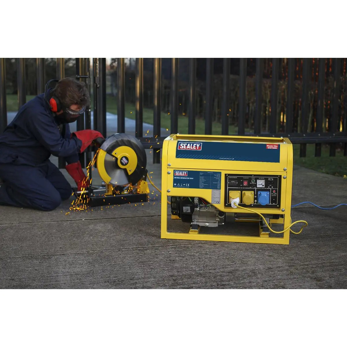 Sealey Generator 6000W 110/230V 13hp