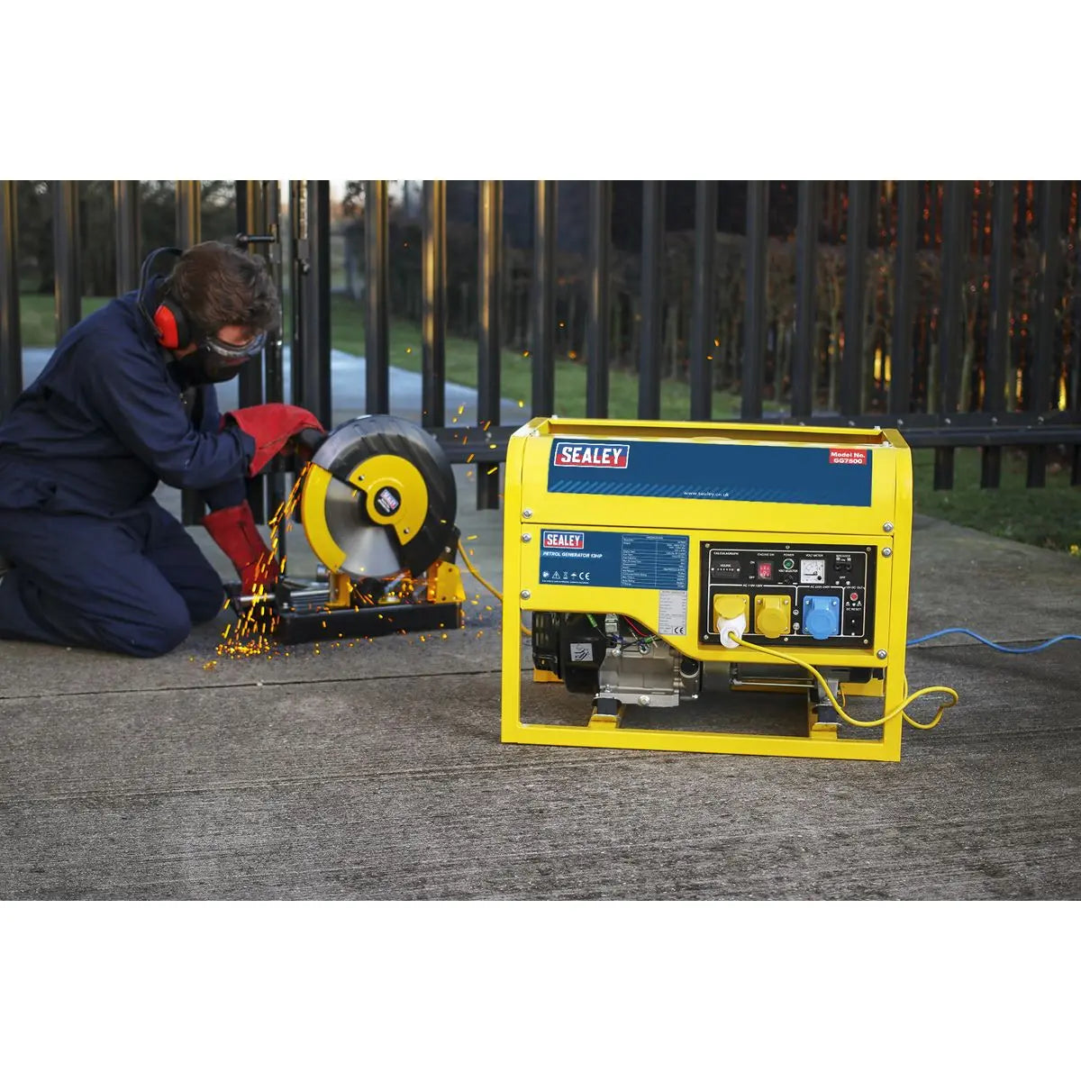 Sealey Generator 6000W 110/230V 13hp