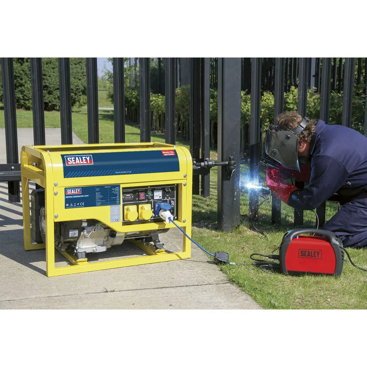 Sealey Generator 6000W 110/230V 13hp