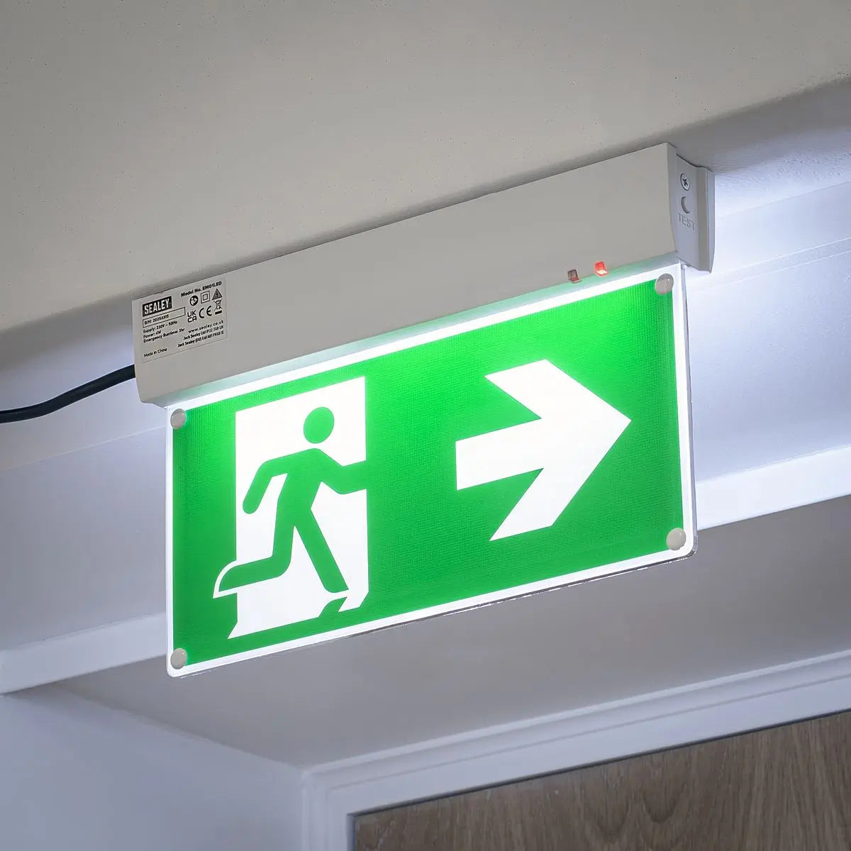 Sealey Maintained Emergency LED Fire Exit Sign White Rose Tools
