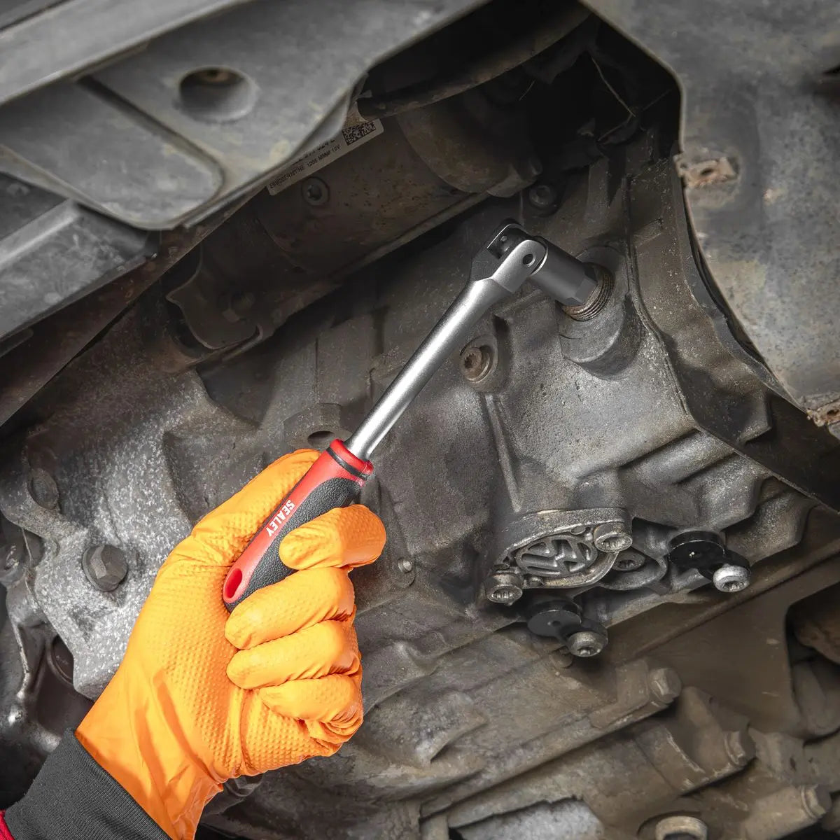 Sealey Oil Drain Plug Key Set 3/8"Sq Drive 20pc White Rose Tools