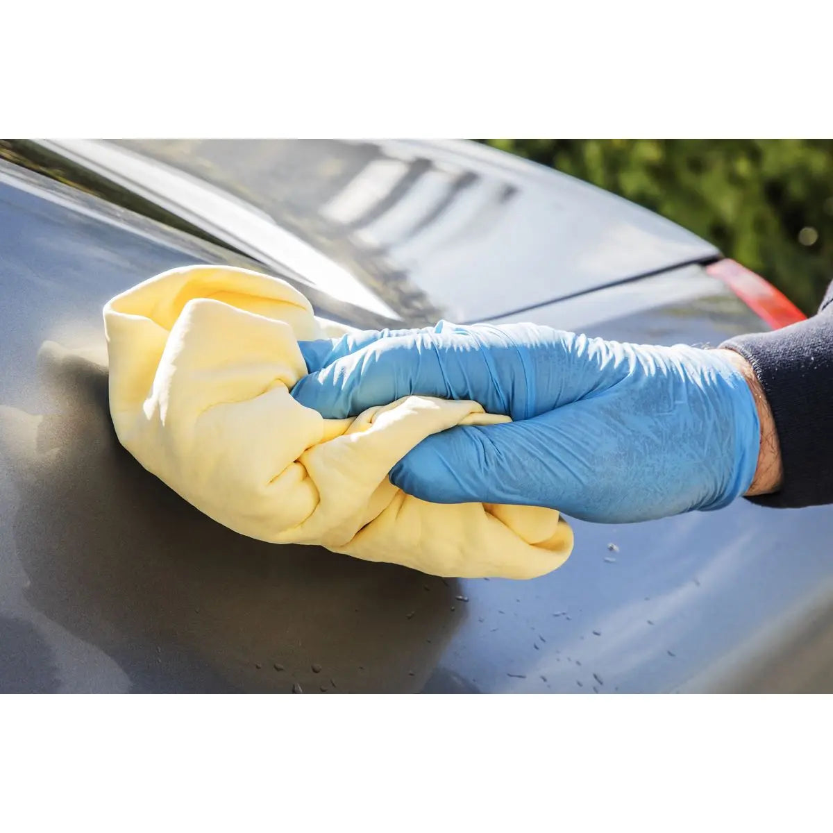 Sealey PVA Chamois 2.5ft²  White Rose Tools