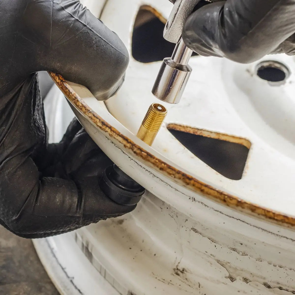 Sealey Pack of 50 - Snap-in Tubeless High Pressure Tyre Valve TR600  White Rose Tools