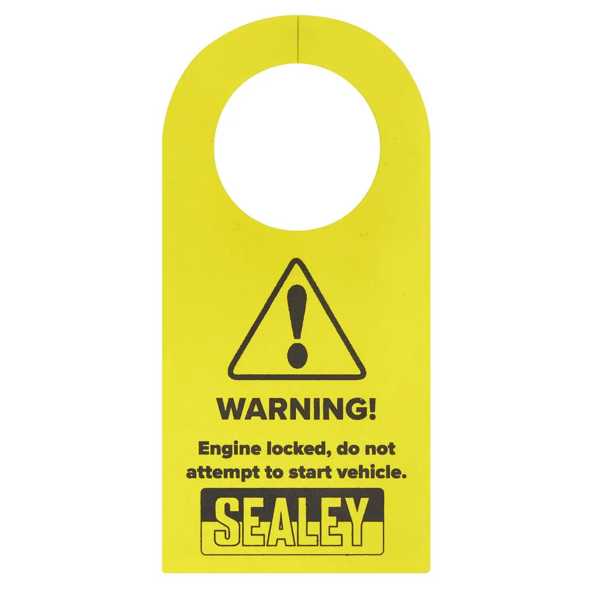 Sealey Petrol Engine Balance Shaft Alignment Tool Kit - for BMW, BMW Mini, Citroen, Peugeot - Chain Drive