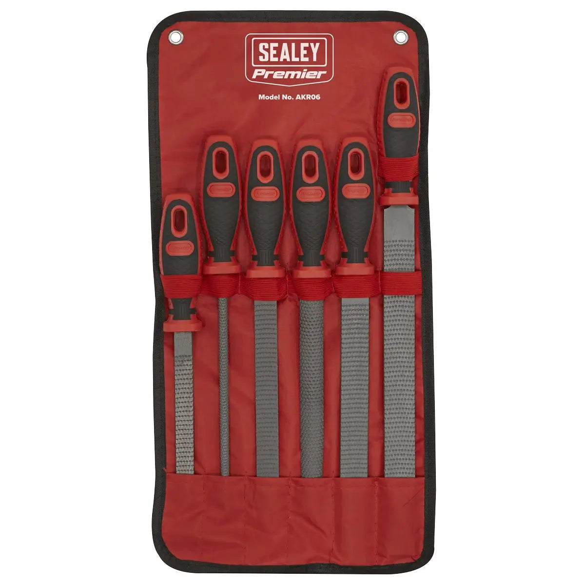 Sealey Premier Rasp File Set 6pc White Rose Tools