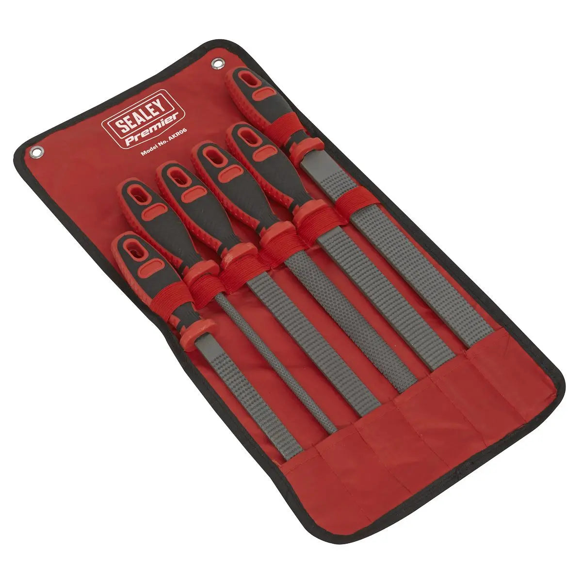 Sealey Premier Rasp File Set 6pc White Rose Tools