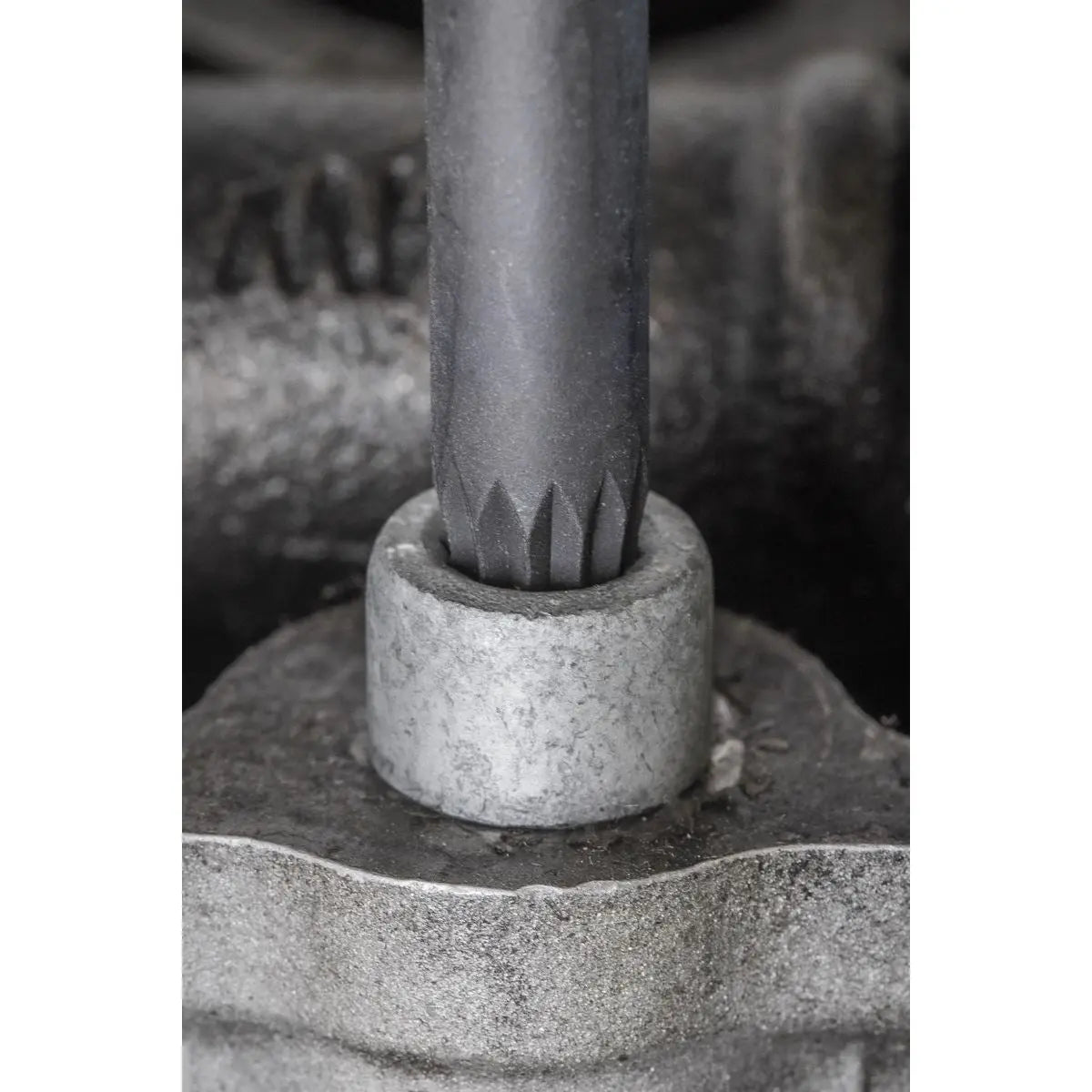 Sealey Premier Spline Impact Socket Bit Set 8pc 1/2"Sq Drive White Rose Tools