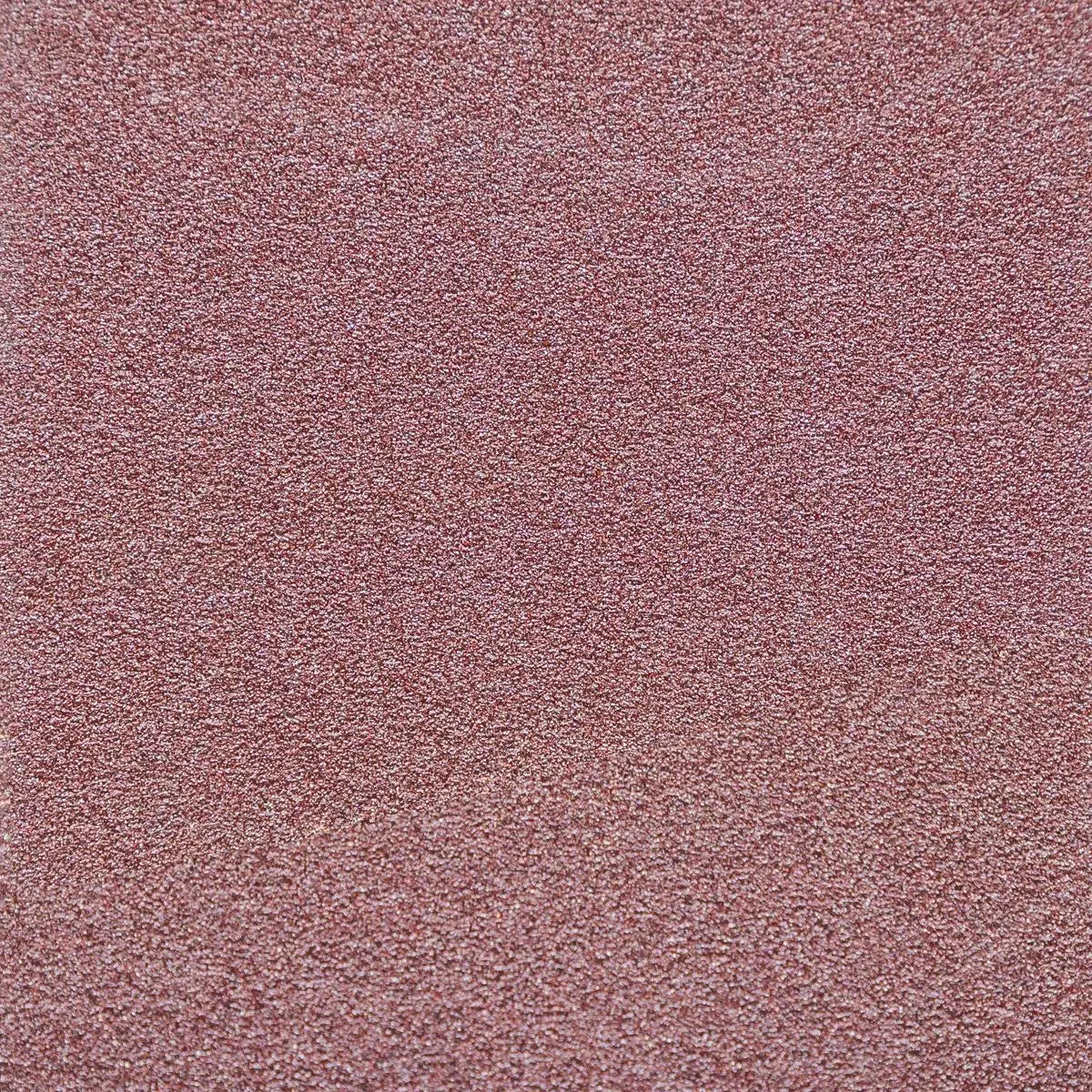 Sealey Sanding Belt 76 x 457mm 240Grit Pack of 5 White Rose Tools