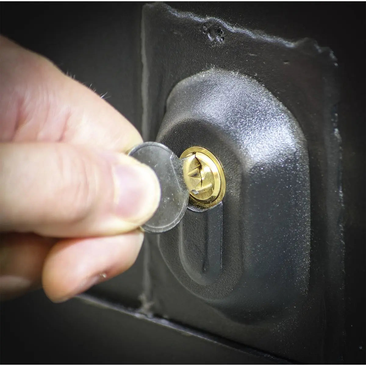 Sealey Superline Pro Heavy-Duty Tool Vault