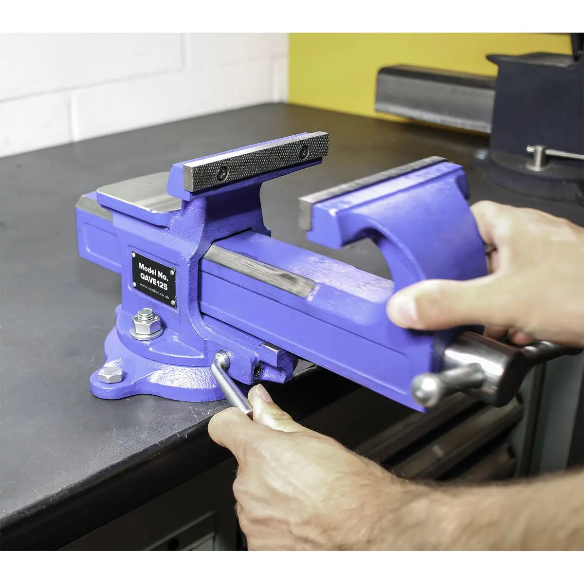 Sealey Vice 125mm Quick Action Swivel Base SG Iron