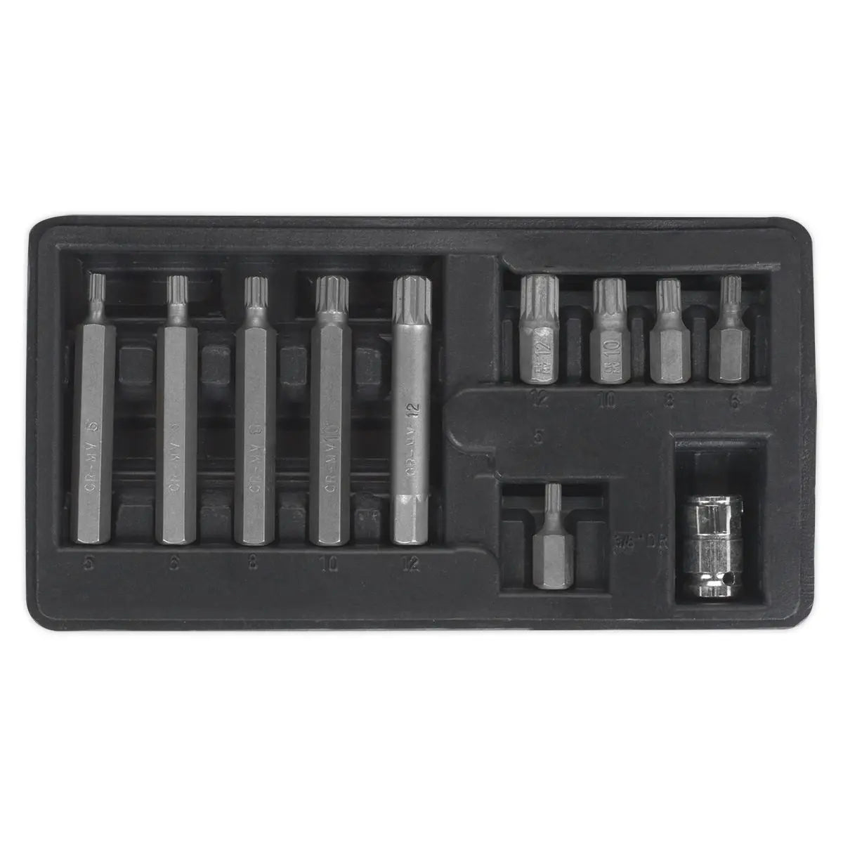 Siegen by Sealey Spline Bit & Holder Set 11pc - 3/8"Sq Drive