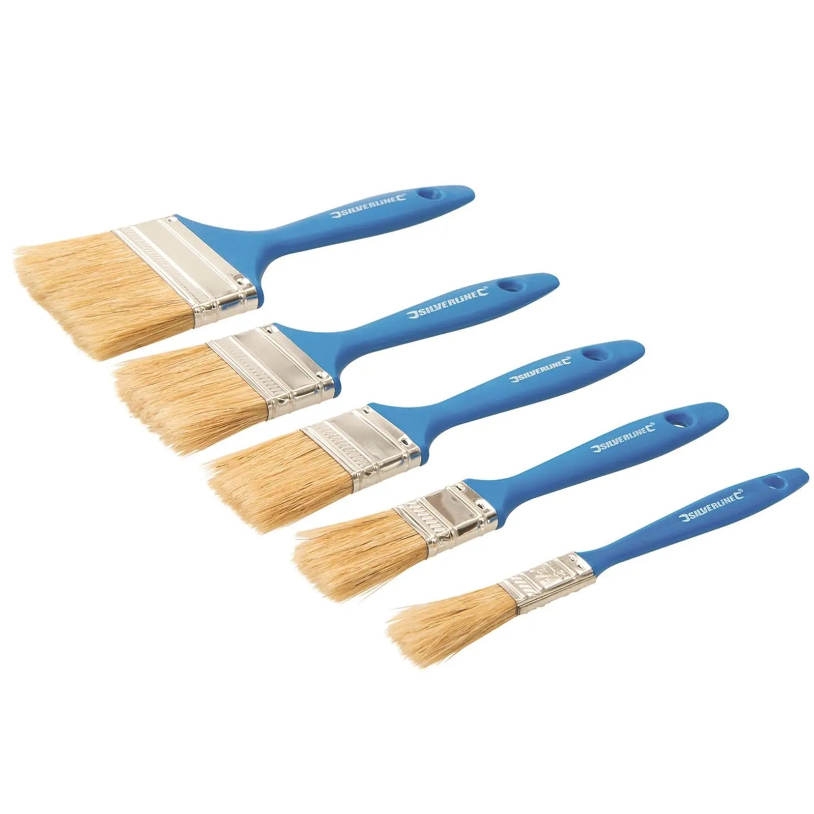 Silverline Disposable Paint Brush Set 5pce White Rose Tools