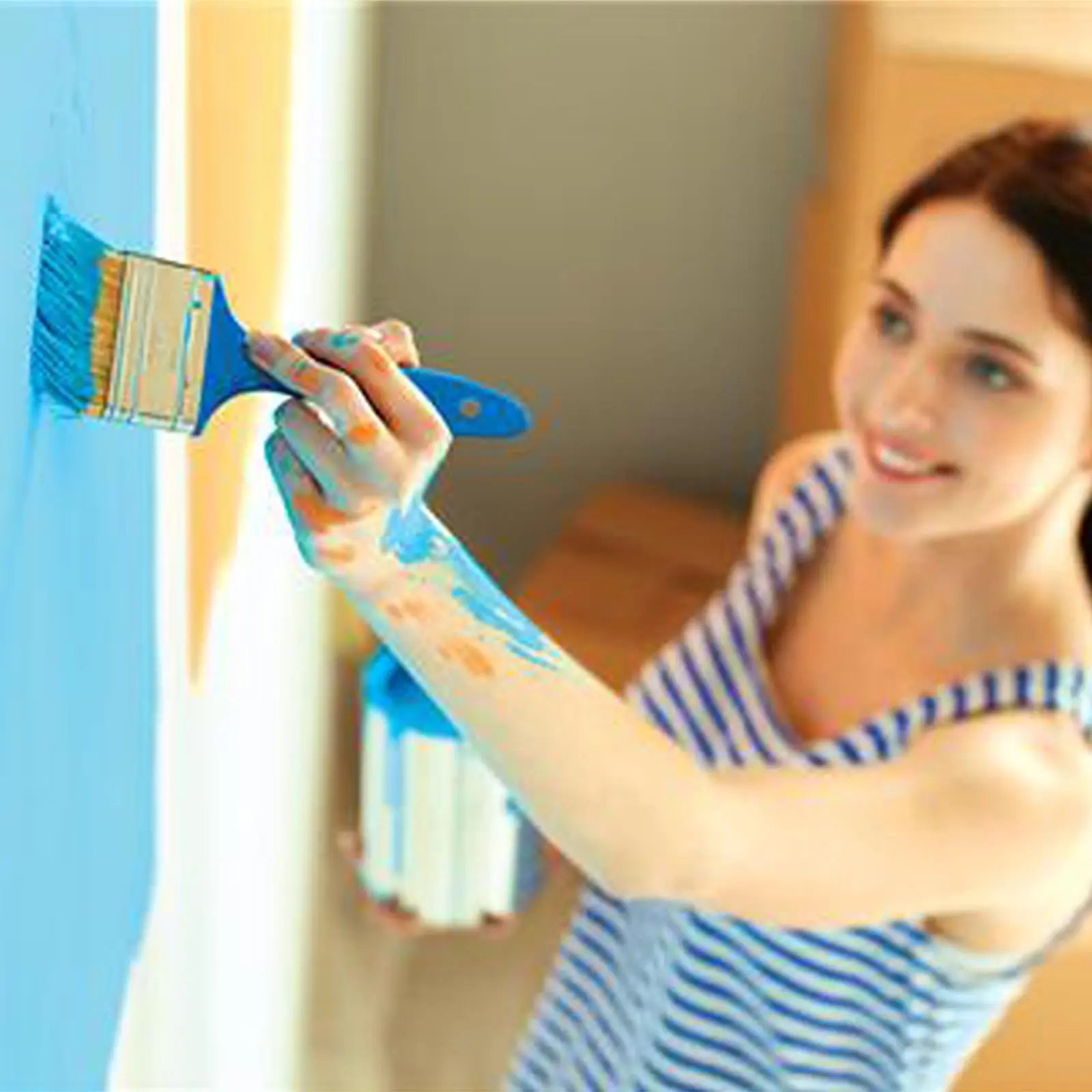 Silverline Disposable Paint Brush Set 5pce White Rose Tools