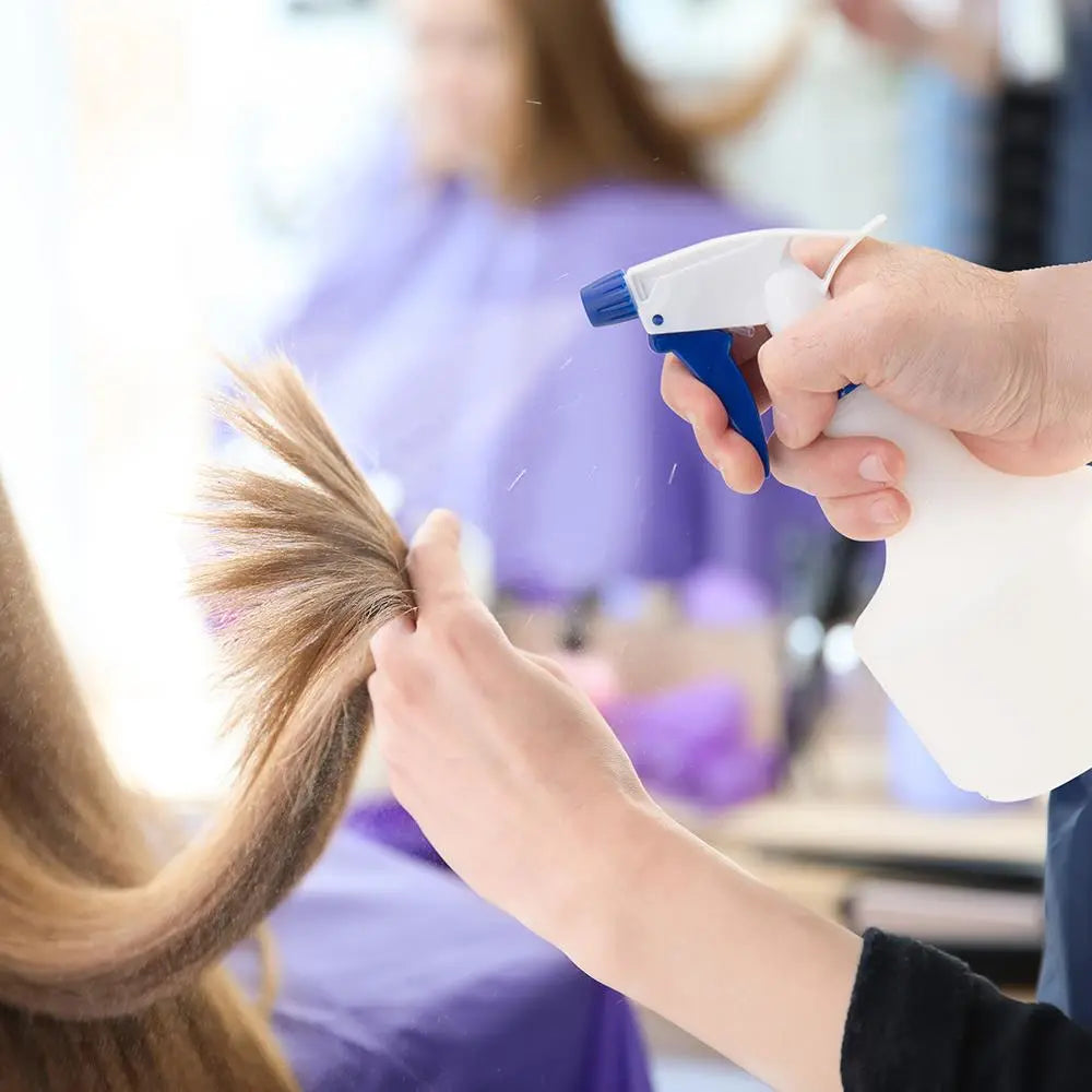 Silverline Hand Sprayer Bottle 500ml 427579 White Rose Tools