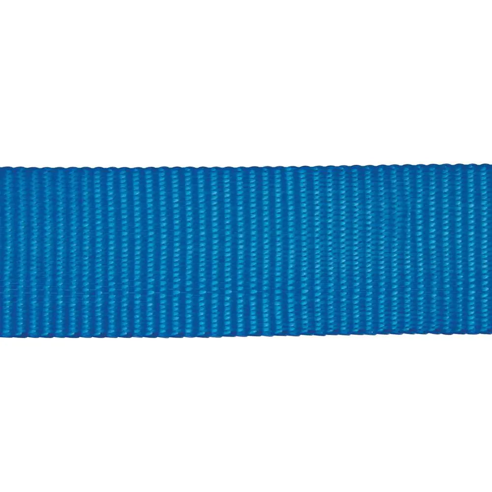 Silverline Ratchet Tie Down Strap S-Hook 4.5m x 25mm - Rated 250kg Capacity 500kg MS21S White Rose Tools